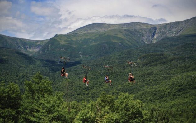 Alpine Adventures