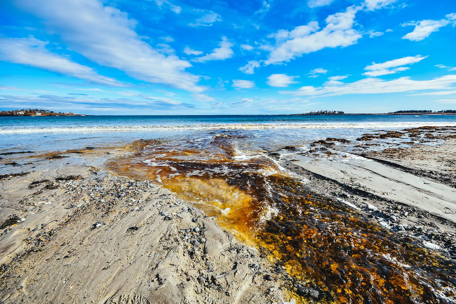 Crescent Beach State Park