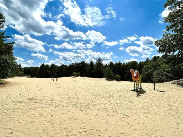 Desert of Maine