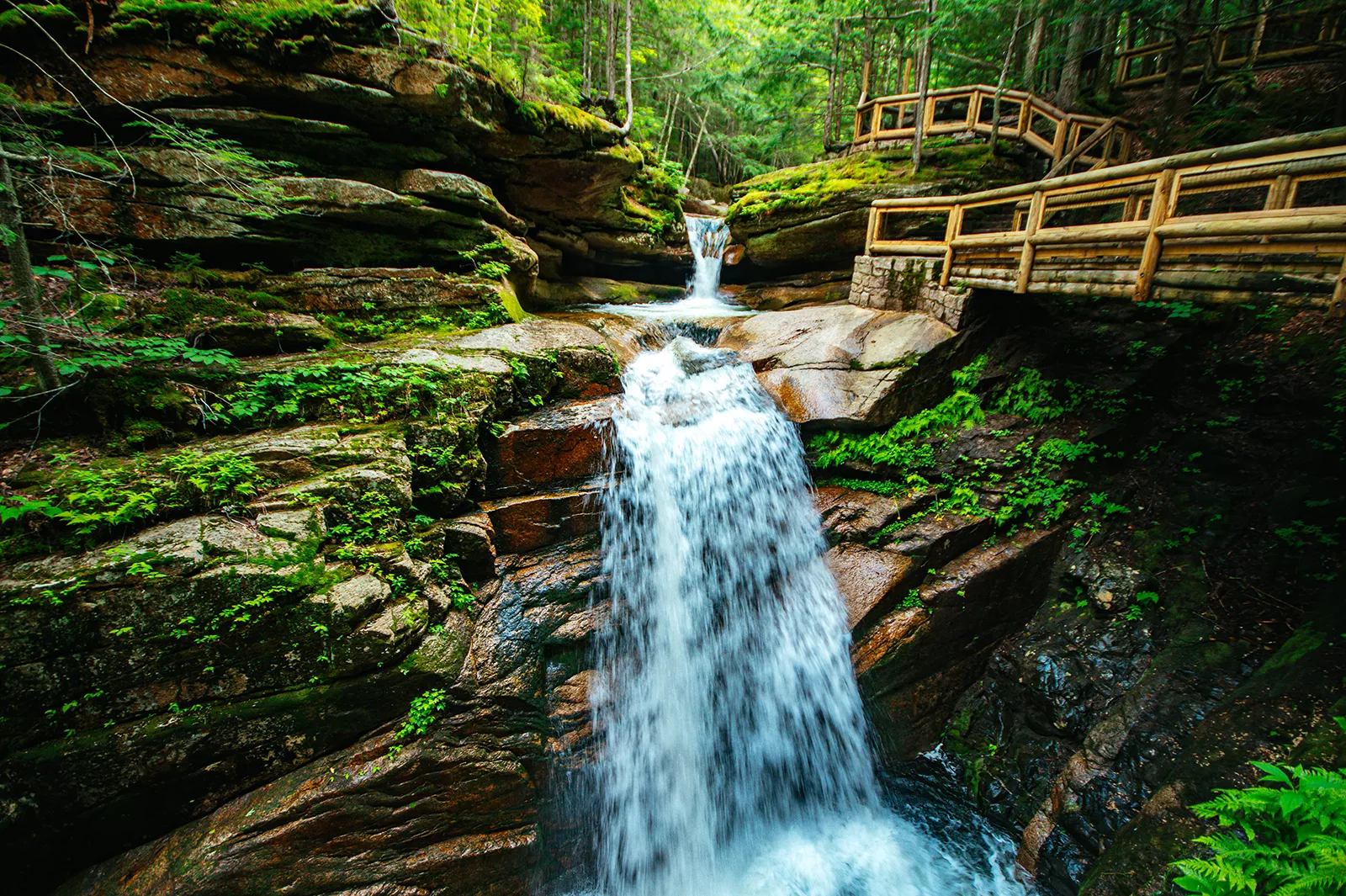 Sabbaday Falls Trail