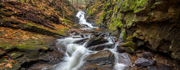 Chesterfield Gorge Natural Area