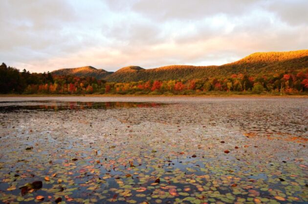 Green Mountain National Forest