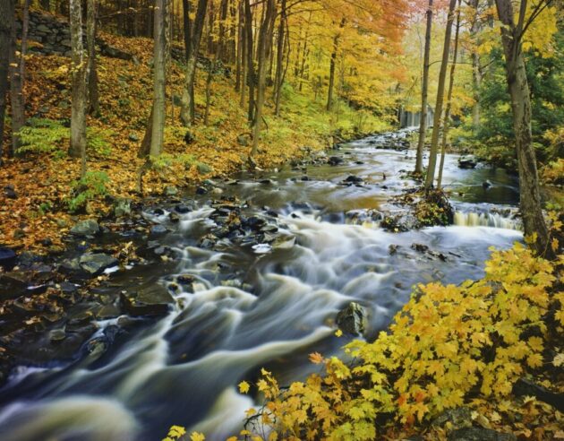 Green Mountain National Forest