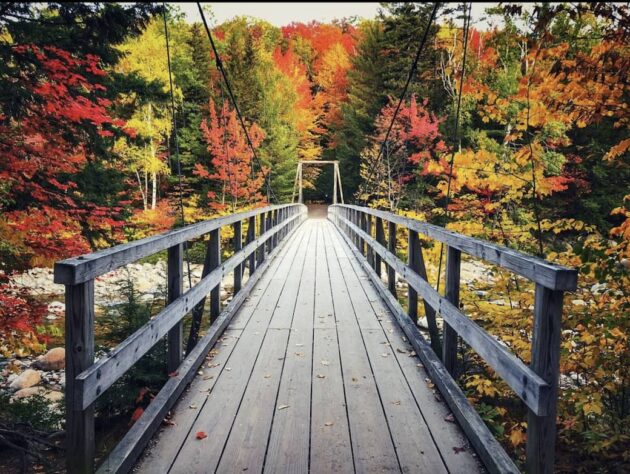 Lincoln Woods Trailhead
