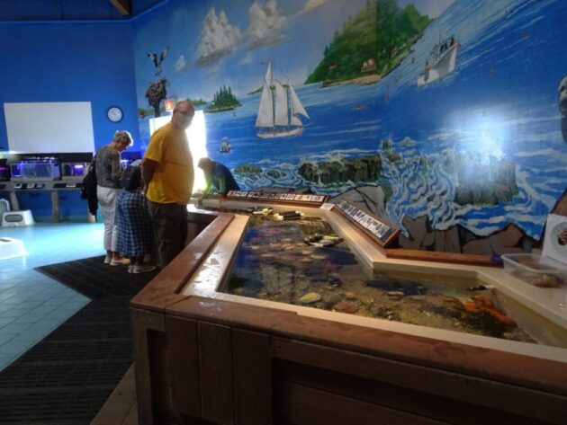 Maine State Aquarium