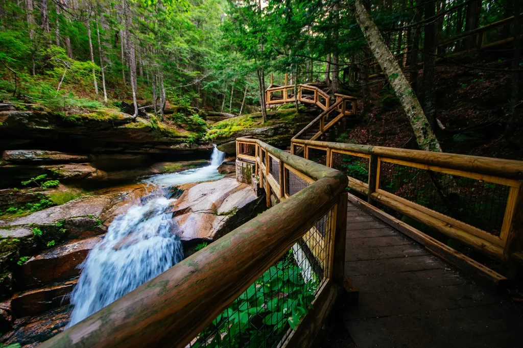 Sabbaday Falls Trail