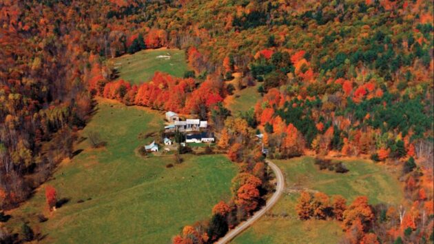 Sugarbush Farm