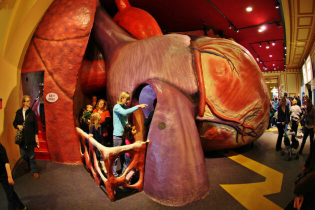 The Franklin Institute