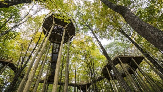 VINS Nature Center