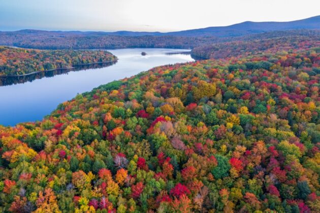Vermont