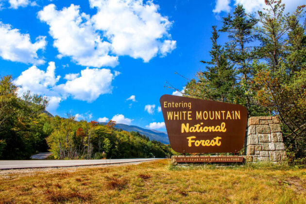 ★ White Mountain National Forest