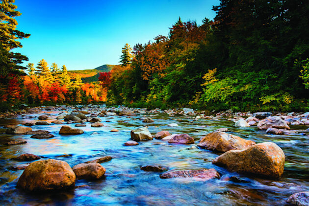 White Mountain National Forest