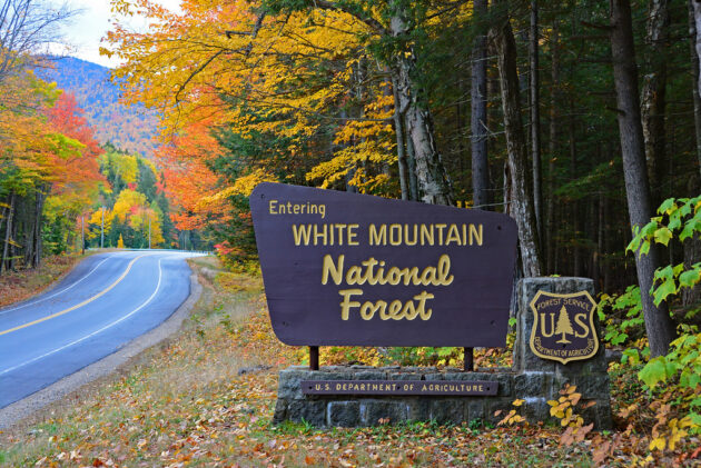 White Mountain National Forest