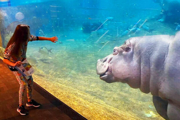 Adventure Aquarium