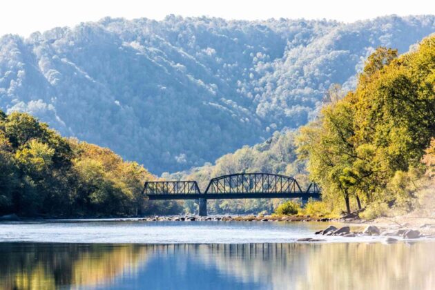 Allegheny National Forest