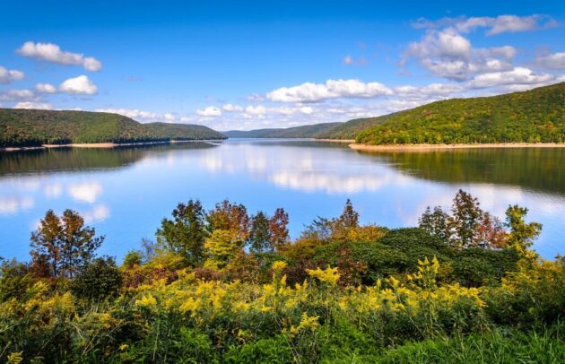 Allegheny National Forest