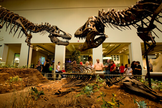 Carnegie Museum of Natural History
