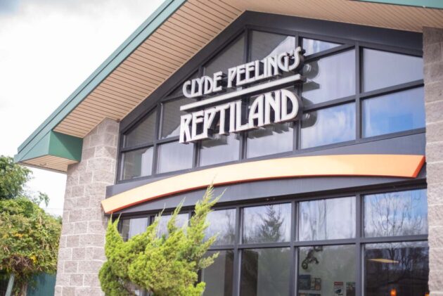 Clyde Peeling's Reptiland