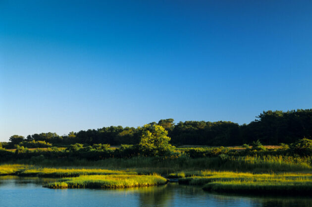 Felix Neck Wildlife Sanctuary