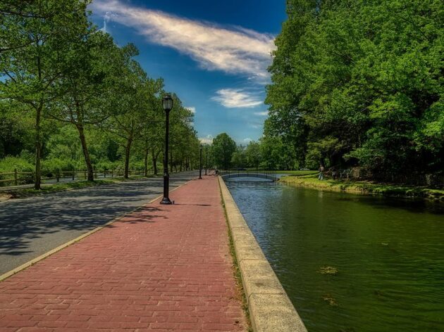 Forest Park