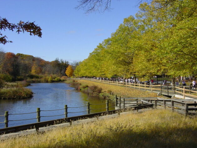 Forest Park