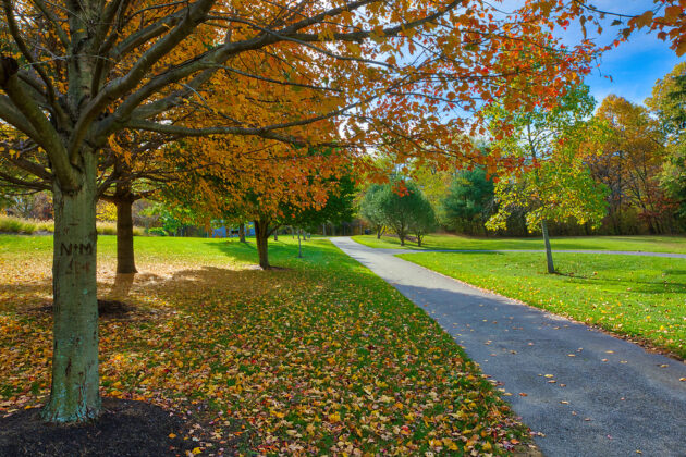 Green Hill Park