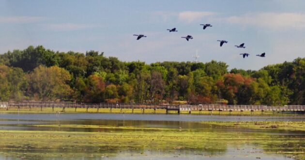 John Heinz National Wildlife Refuge at Tinicum