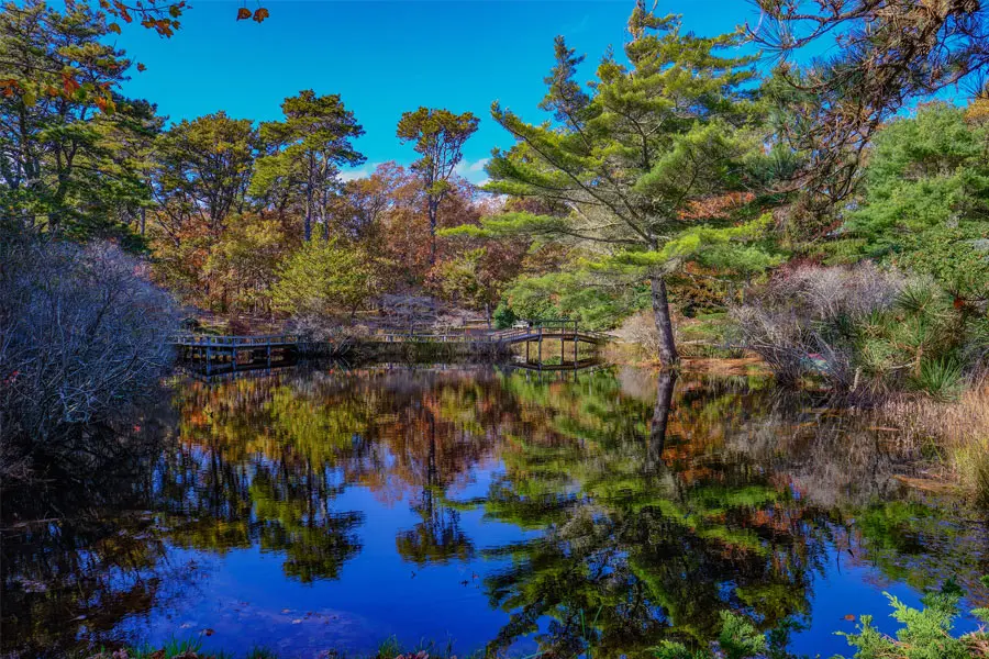Mytoi Japanese Garden