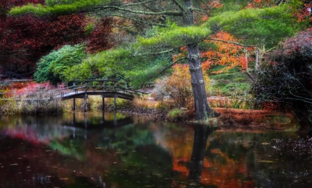 Mytoi Japanese Garden
