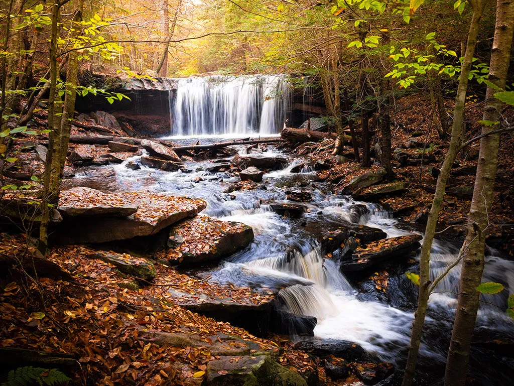 Ricketts Glen State Park