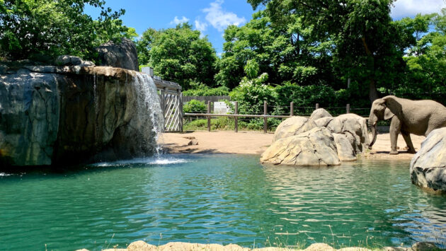 Roger Williams Park Zoo