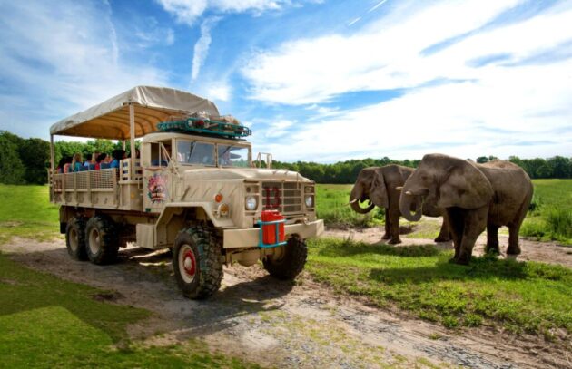 Six Flags Wild Safari
