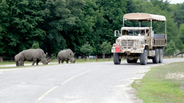 Six Flags Wild Safari