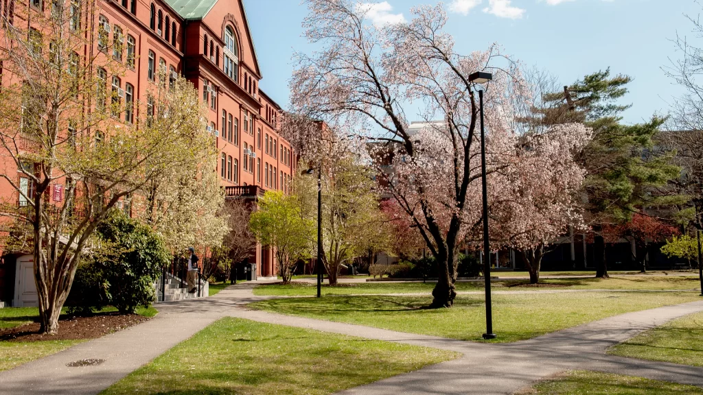 The Harvard Museum of Natural History