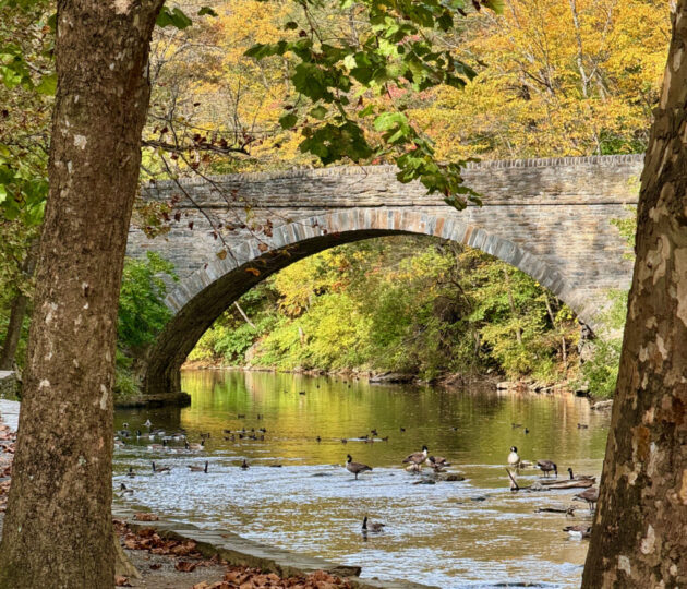Wissahickon Valley Park