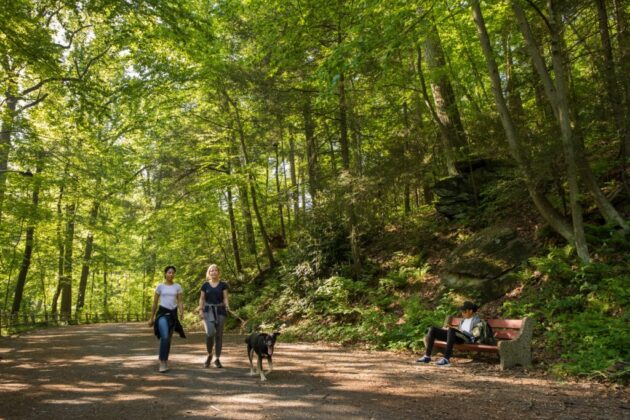Wissahickon Valley Park