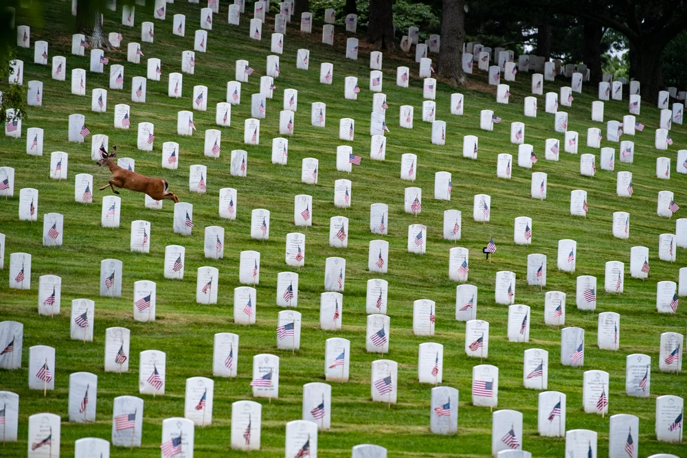 Arlington National Cemetery