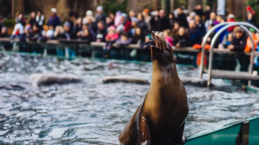 Central Park Zoo