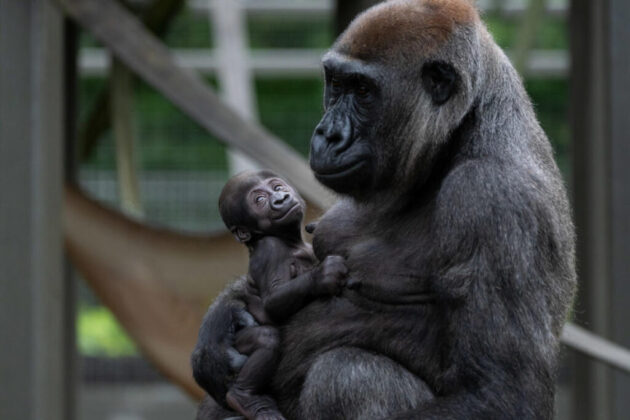 Columbus Zoo and Aquarium
