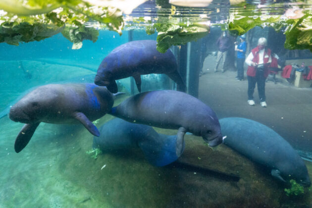 Columbus Zoo and Aquarium