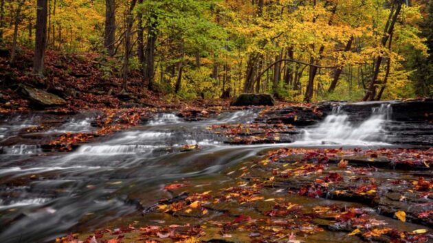 Cuyahoga Valley National Park
