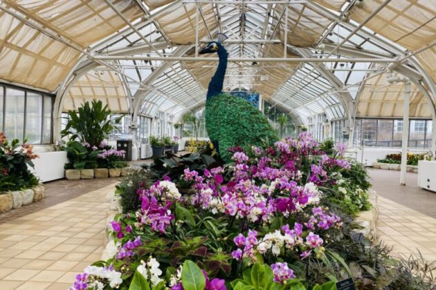Franklin Park Conservatory and Botanical Gardens