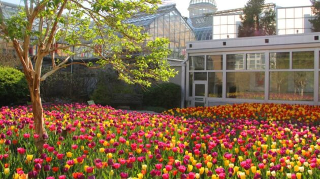 Franklin Park Conservatory and Botanical Gardens
