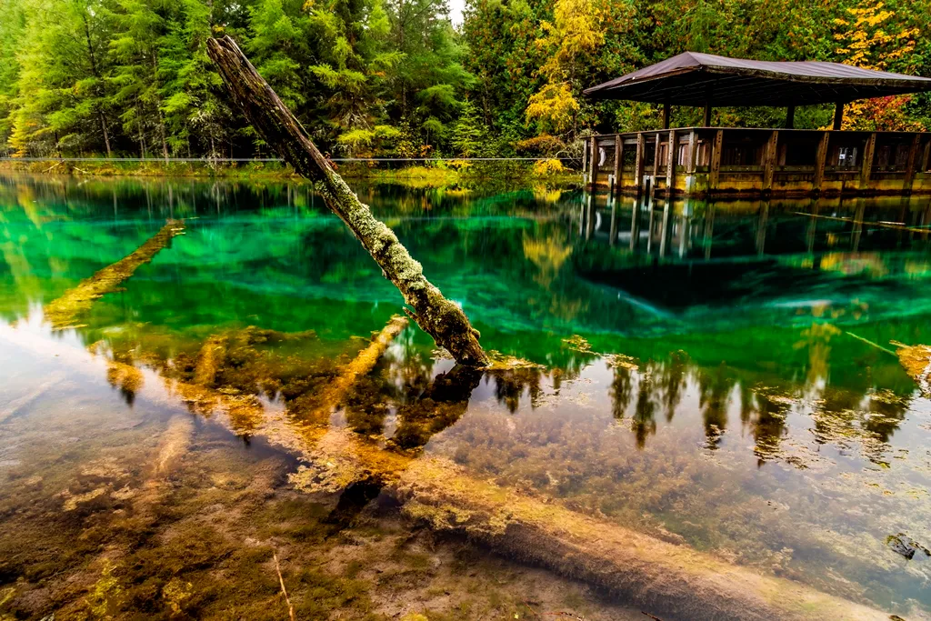 Kitch-iti-kipi