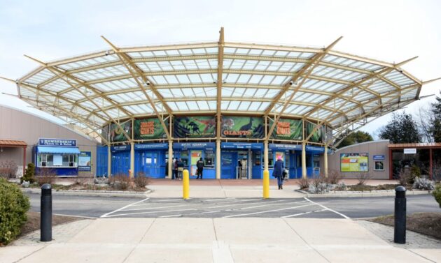 Mystic Aquarium