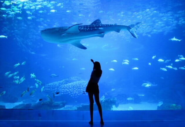 National Aquarium