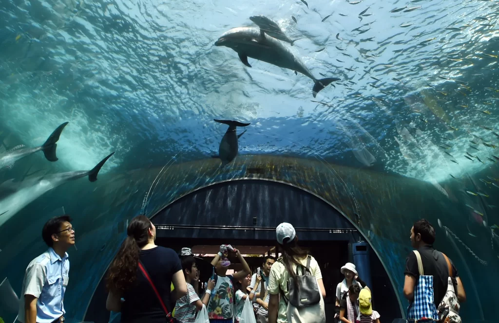 National Aquarium