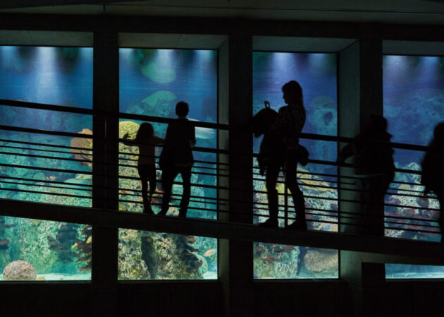 National Aquarium