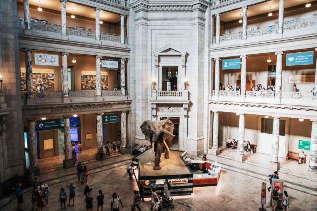 National Museum of Natural History
