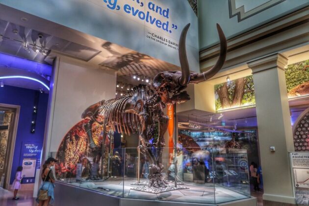 National Museum of Natural History